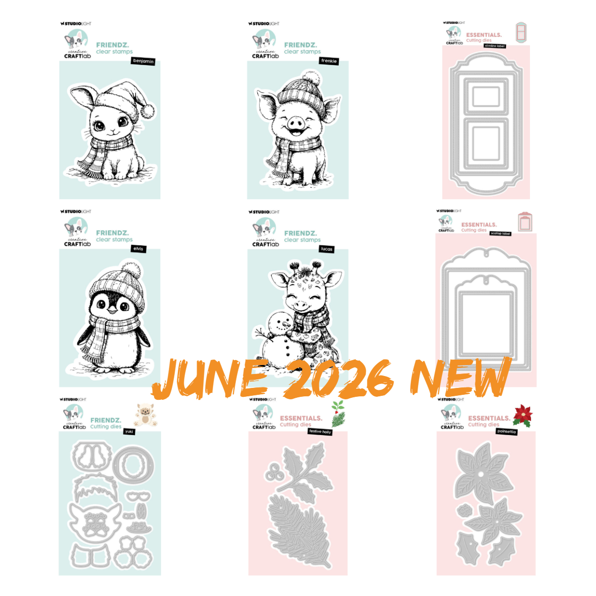 Nuovi Stampi in Silicone a Tem - Rubber Stamp Blank recensione e prezzo
